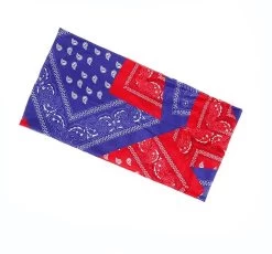 Floral Paisley Print Loop Hair Band